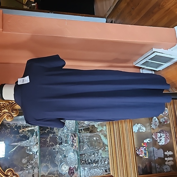 NWT J.Jill Short Sleeve Knit Dress - Picture 5 of 9